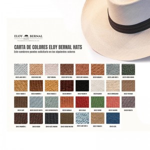 Cuenca Chemis Premium 2