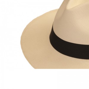 Cuenca Gota Premium 2